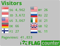 Flag Counter