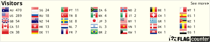 Flag Counter