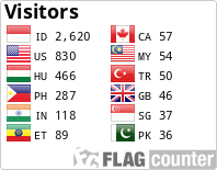 Flag Counter