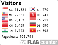 Flag Counter
