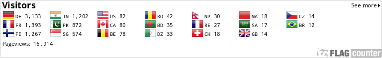 Flag Counter