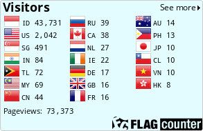 Flag Counter