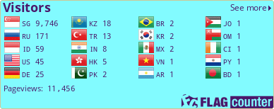 Flag Counter