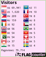 Flag Counter