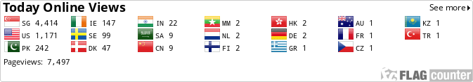 Flag Counter