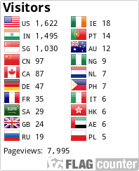 Flag Counter