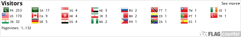 Flag Counter
