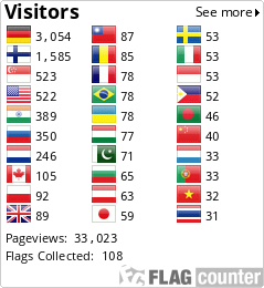 Flag Counter