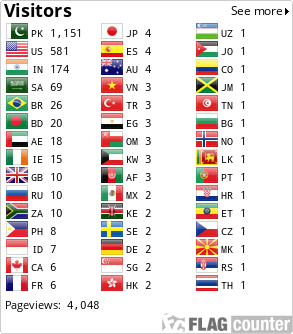 Flag Counter