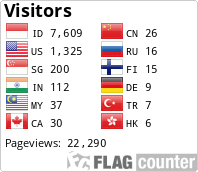 Flag Counter