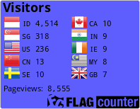 Flag Counter