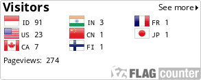 Flag Counter