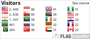 Flag Counter