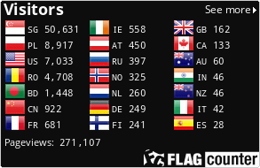 Flag Counter