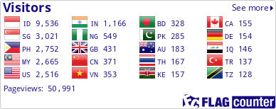 Flag Counter