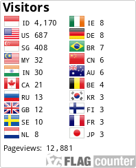 Flag Counter