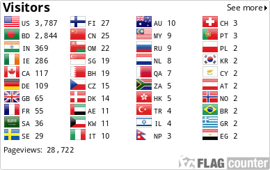 Flag Counter