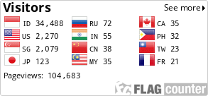 Flag Counter