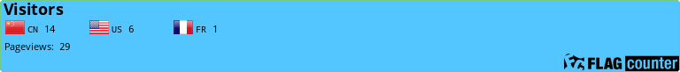 Flag Counter