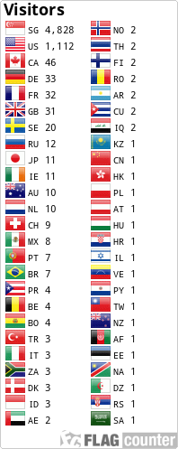 Flag Counter
