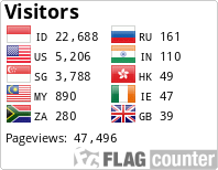 Flag Counter