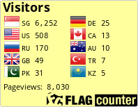 Flag Counter
