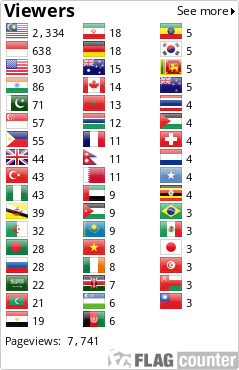 Flag Counter