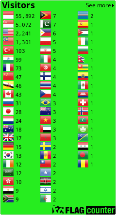 Flag Counter