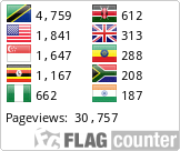 Flag Counter