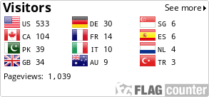 Flag Counter