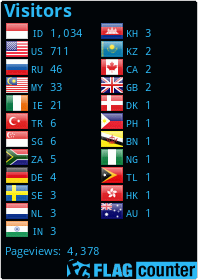 Flag Counter