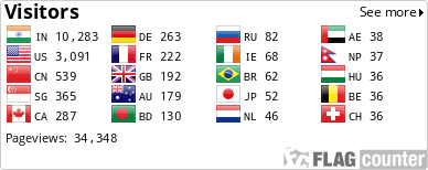 Flag Counter