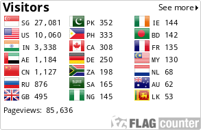 Flag Counter