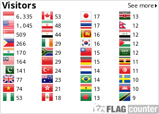 Flag Counter