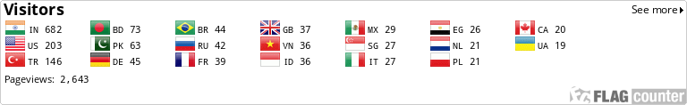 Flag Counter