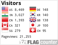 Flag Counter