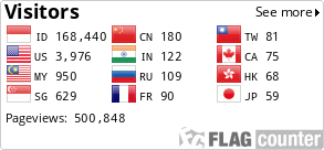 Flag Counter