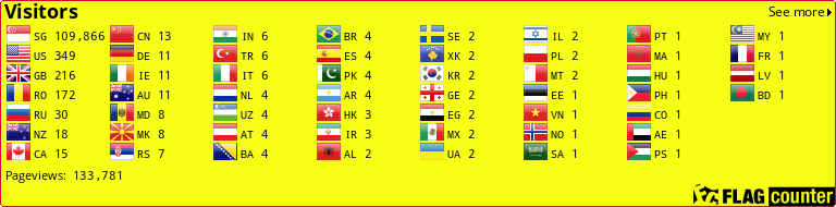 Flag Counter