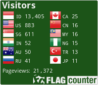 Flag Counter