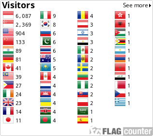 Flag Counter