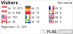 Flag Counter