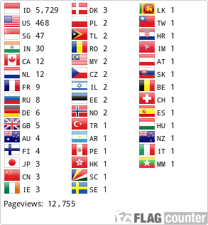 Flag Counter