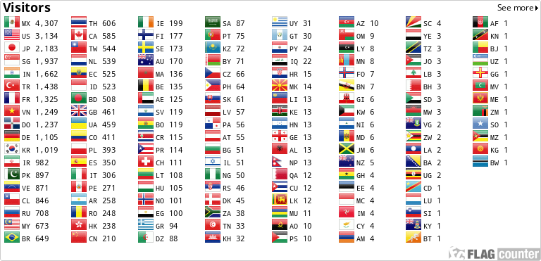 Flag Counter
