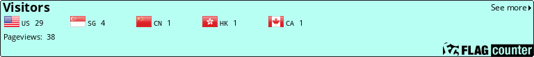 Flag Counter