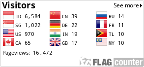 Flag Counter