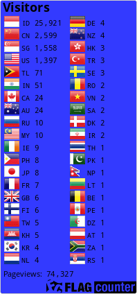 Flag Counter