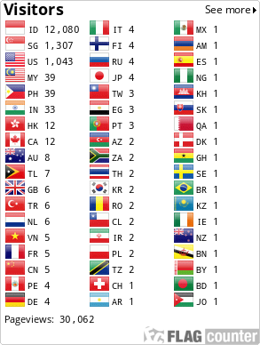 Flag Counter