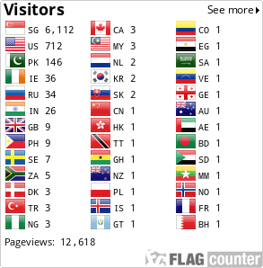 Flag Counter