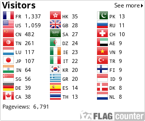 Visitor Statistics