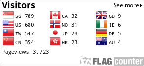Flag Counter